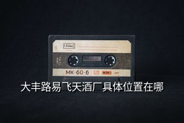 大豐路易飛天酒廠具體位置在哪