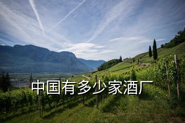 中國(guó)有多少家酒廠