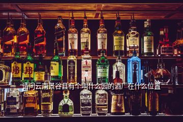 請問云南景谷縣有個(gè)叫什么園的酒廠在什么位置