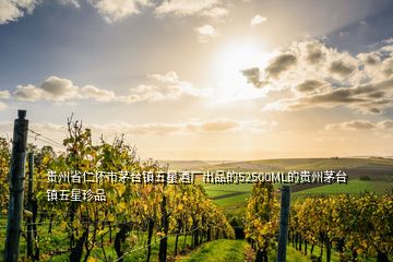 貴州省仁懷市茅臺(tái)鎮(zhèn)五星酒廠出品的52500ML的貴州茅臺(tái)鎮(zhèn)五星珍品