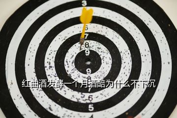紅曲酒發(fā)酵一個(gè)月酒醅為什么不下沉