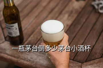 一瓶茅臺倒多少茅臺小酒杯