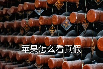 蘋(píng)果怎么看真假