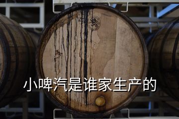 小啤汽是誰家生產的