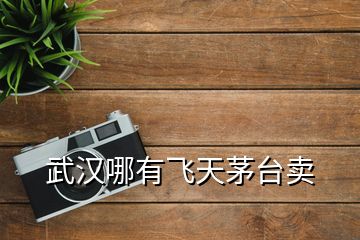 武漢哪有飛天茅臺賣