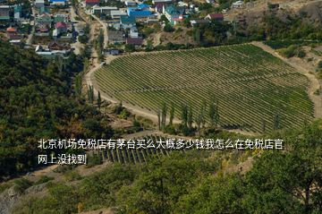 北京機場免稅店有茅臺買么大概多少錢我怎么在免稅店官網(wǎng)上沒找到