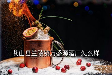 蒼山縣蘭陵鎮(zhèn)萬盛源酒廠怎么樣