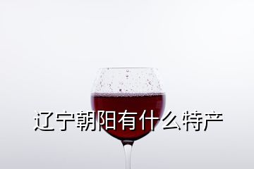 遼寧朝陽(yáng)有什么特產(chǎn)