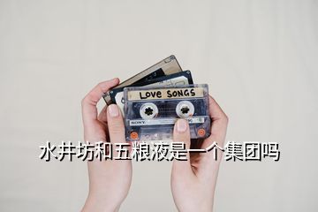 水井坊和五糧液是一個集團(tuán)嗎