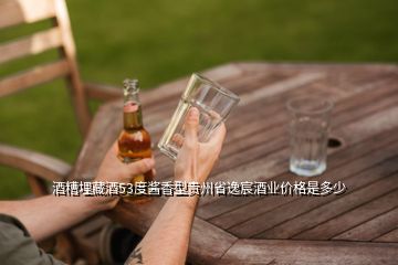 酒糟埋藏酒53度醬香型貴州省逸宸酒業(yè)價格是多少