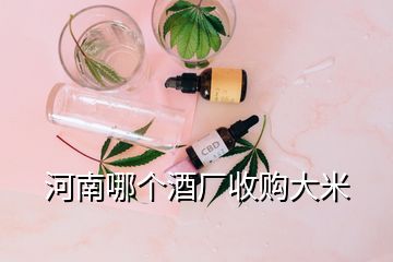 河南哪個(gè)酒廠收購大米