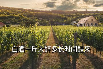 白酒一斤大醉多長(zhǎng)時(shí)間醒來(lái)