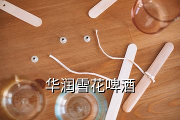  華潤(rùn)雪花啤酒