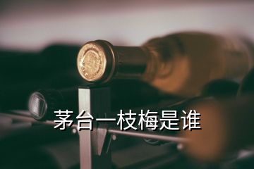 茅臺(tái)一枝梅是誰