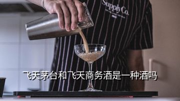 飛天茅臺和飛天商務酒是一種酒嗎