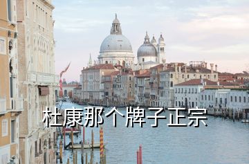 杜康那個牌子正宗