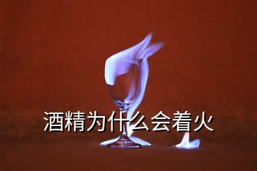 酒精為什么會著火