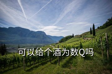 可以給個酒為數(shù)Q嗎