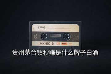 貴州茅臺鎮(zhèn)秒賺是什么牌子白酒
