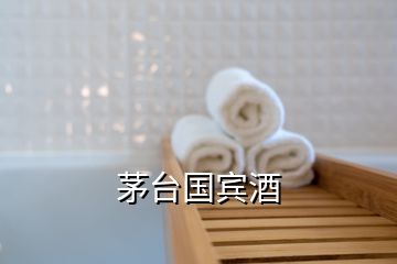 茅臺(tái)國(guó)賓酒