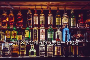 為什么茅臺和五糧液要在一個地方
