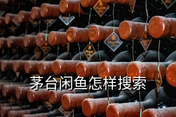 茅臺閑魚怎樣搜索