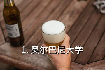 1. 奧爾巴尼大學(xué)