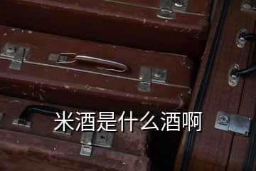 米酒是什么酒啊