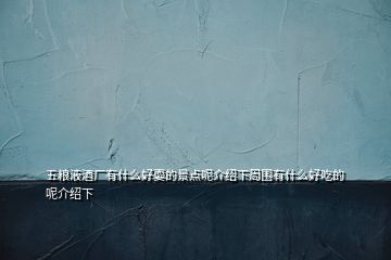 五糧液酒廠有什么好耍的景點(diǎn)呢介紹下周圍有什么好吃的呢介紹下