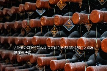 去物流公司上班怎么樣 只可以在分揀和搬運部門之間選擇 工資待遇