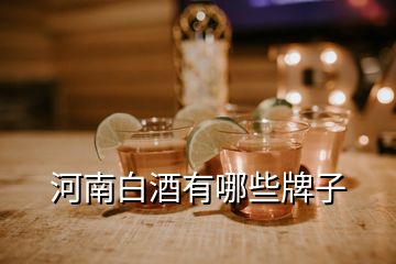河南白酒有哪些牌子