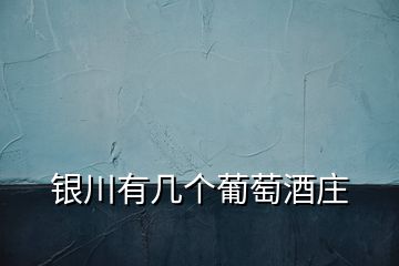 銀川有幾個(gè)葡萄酒莊