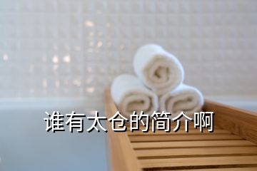 誰(shuí)有太倉(cāng)的簡(jiǎn)介啊
