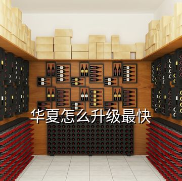 華夏怎么升級最快