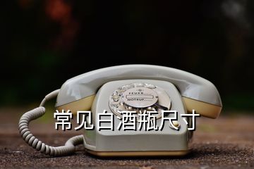常見(jiàn)白酒瓶尺寸