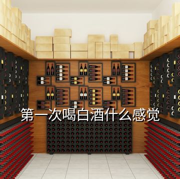 第一次喝白酒什么感覺(jué)