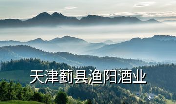 天津薊縣漁陽(yáng)酒業(yè)