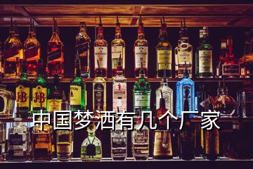 中國夢(mèng)灑有幾個(gè)廠家