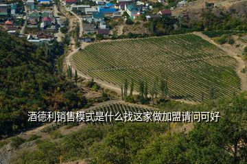 酒德利銷售模式是什么找這家做加盟請(qǐng)問(wèn)可好