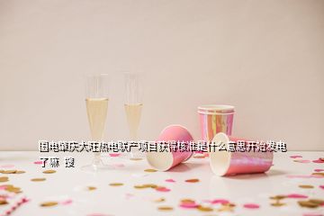 國電肇慶大旺熱電聯(lián)產(chǎn)項目獲得核準(zhǔn)是什么意思開始發(fā)電了嘛  搜