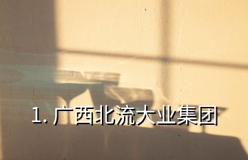 1. 廣西北流大業(yè)集團