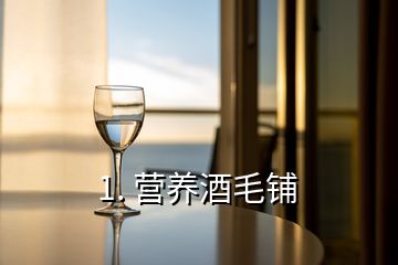 1. 營(yíng)養(yǎng)酒毛鋪