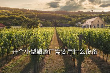 開(kāi)個(gè)小型釀酒廠需要用什么設(shè)備