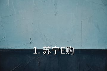 1. 蘇寧E購