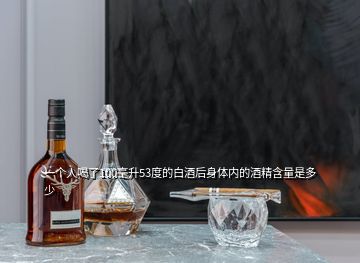 一個(gè)人喝了100毫升53度的白酒后身體內(nèi)的酒精含量是多少
