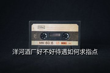 洋河酒廠好不好待遇如何求指點