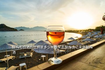 酸梅和白酒的比例是多少呢想買(mǎi)點(diǎn)酸梅自己來(lái)做酸梅酒