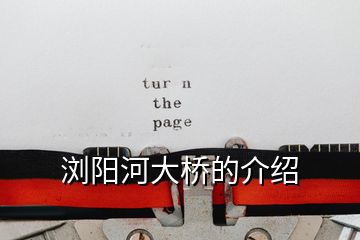 瀏陽(yáng)河大橋的介紹