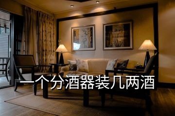 一個(gè)分酒器裝幾兩酒