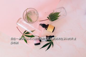 我在一家深圳公司上班但是由于此公司倒閉在深圳的開(kāi)發(fā)部和銷